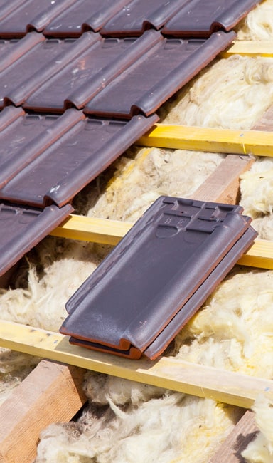 project-10 project-10